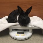 Yvette Pearson - @percipi3_4oreo - Instagram