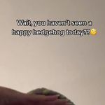 Yvette Pope - @yvette.pope.5621 - Instagram