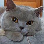 Yvette - @yvetterees73 - Instagram