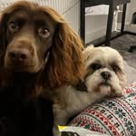 Yvette Connor Ritchie - @yvetteconnorritchie - Instagram