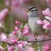 Yvette Rouquier - Facebook