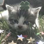 Yvette Mireya Saavedra Oré - @yvett.mso - Instagram