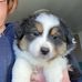 Yvette Schnell - Facebook