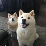 Yvette Schuler - @schuyp - Instagram