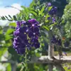 unknown - @yvette.shaw3 - TikTok