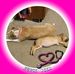 Yvette Snyder - Facebook