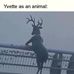 Yvette Sorenson - Facebook