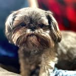 Yvette Steinbrink - @lilredvette1970 - Instagram