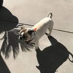 Yvette Stephens - @yvette.stephens.7393 - Instagram
