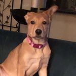 Yvette Thompson - @vettiecat - Instagram