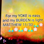 Yvette Thompson - @yvettethompson554 - Instagram