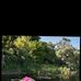 Evette Dyson - Facebook