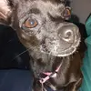 Yvette Vera - @yvette.vera - TikTok