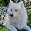 Yvette Vincent - @yvette.vincent7 - TikTok