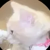 YvetteWall - @yvettewall76 - TikTok