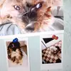 yvettewalliorgall - @yvettewalliorgall - TikTok