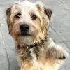 yvettewarren539 - @yvettewarren539 - TikTok