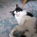 Yvette Waters - Facebook