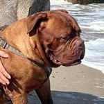 Yvette Rotermundt - @wildeyvetterotermundt - Instagram