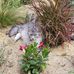 Yvon Dufour - Facebook
