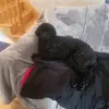 Yvon Robichaud - @yvon.robichaud7 - TikTok
