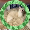 Yvonne Anderson - @yvonne.anderson4 - TikTok