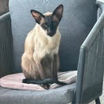 Yvonne Arnold - @yvonnearnold7485 - Instagram