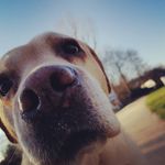 yvonne B. - @baum_yvonne - Instagram
