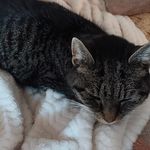 Yvonne Baum - @baum2972 - Instagram