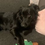 Yvonne Baum - @yvonne.baum.7737 - Instagram