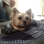 Yvonne Bender - @yvonne.bender.050368 - Instagram