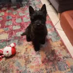 Yvonne Bender - @yvibend - Instagram