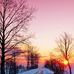 Yvonne Box - Facebook