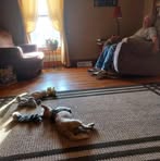 Yvonne Brittingham - Facebook