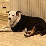 Yvonne Carmichael - @car7mcd - Instagram