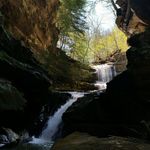 Yvonne Couch Thompson - @thompsonstables210 - Instagram