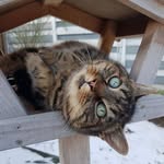 Yvonne Dirks - @yvonne.dirks.50 - Instagram