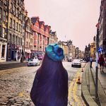 Yvonnedolan - @yvonnedolan2410 - Instagram