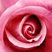 Yvonne Eckert - Facebook