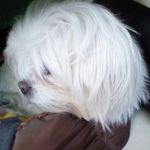 Yvonne Eckert - @eckert1514 - Instagram