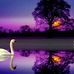 Yvonne Eckert - Facebook