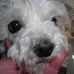 Yvonne Eckert - Facebook