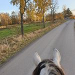 Yvonne Hyltse-Eckert - @yvonnehyltseeckert - Instagram