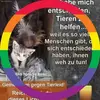 yvonneeckert1507 - @yvonneeckert1507 - TikTok
