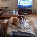Yvonne Eckhoff - Facebook