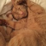Yvonne Fox - @yvonne102530 - Instagram