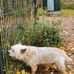 Lieder Yvonne - Facebook