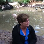 Yvonne Andersson - @yvonnelandersson - Instagram