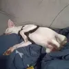 Yvonne Landeros - @yvonne.landeros5 - TikTok