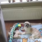 Yvonne Landers - @yvonne.landers.92 - Instagram